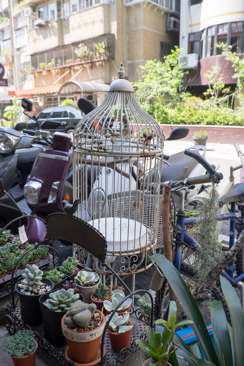 Parrot Cage