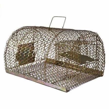 Metal mesh rat trap cage